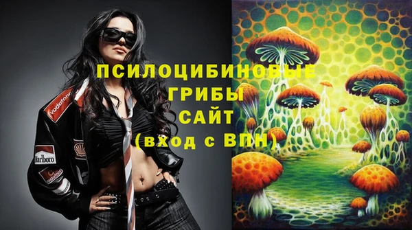 синтетический гашиш Алексин