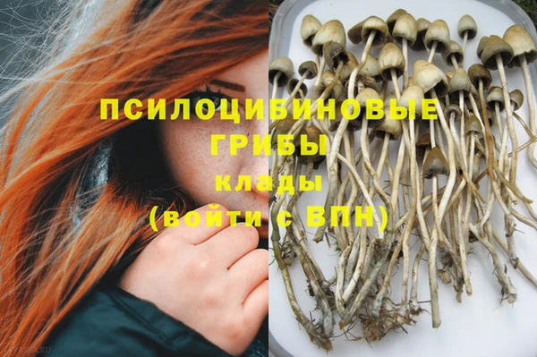 синтетический гашиш Алексин